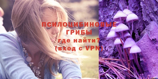 спиды Абдулино