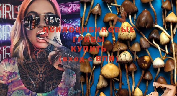 мет Алзамай